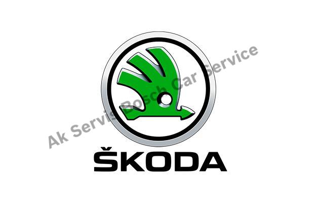 Ankara Skoda Servisi 